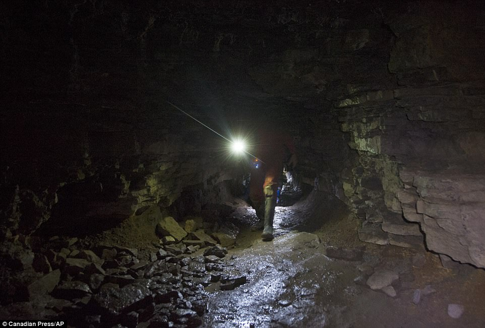 Một nhà khoa học đã khám phá các đường hầm bí ẩn ở Brazil, có niên đại ít nhất 13.000 năm, nghi ngờ có sự nhúng tay của người ngoài hành tinh.