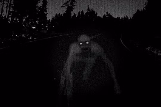 1. Quỷ Dover: Một sinh vật đáng sợ được nhìn thấy tại thị trấn Dover, Massachusetts vào năm 1977, được miêu tả có hình dáng kỳ quái giống người ngoài hành tinh.