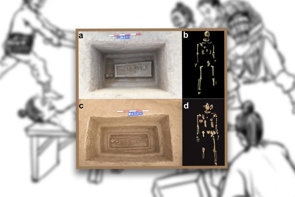 Các hình phạt tàn khốc khác như xăm hình chữ "tội phạm" lên mặt, thiến hoặc cắt mũi cũng phổ biến trong thời Tây Chu.