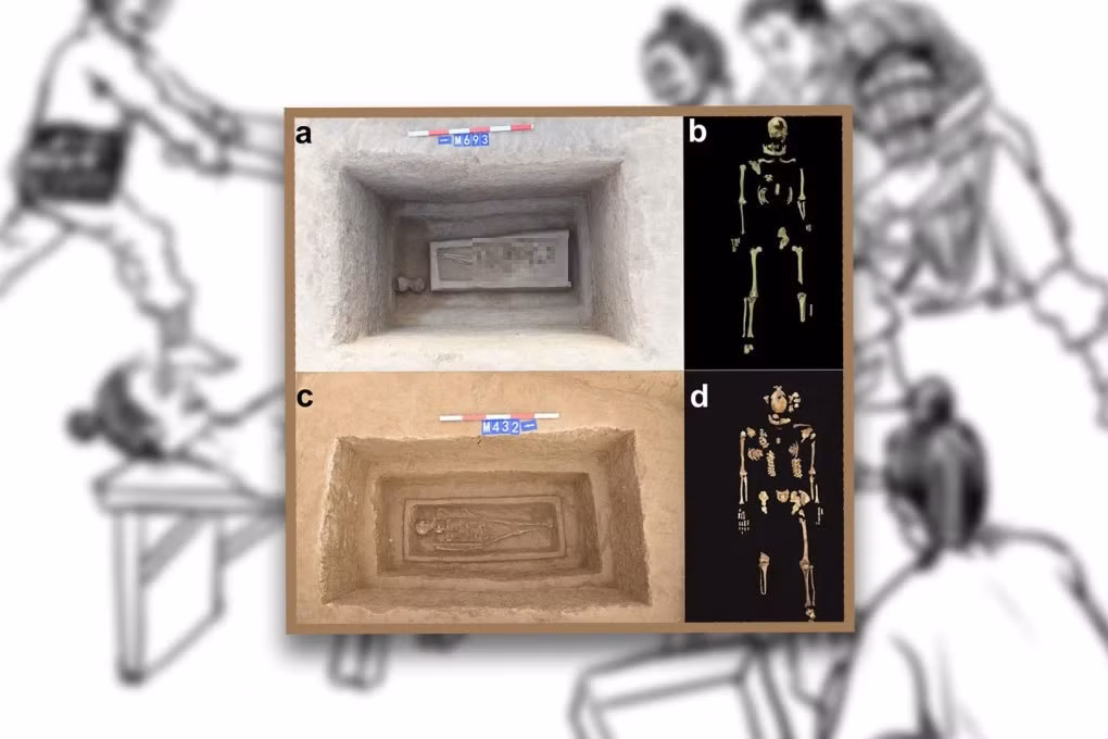 Các hình phạt tàn khốc khác như xăm hình chữ "tội phạm" lên mặt, thiến hoặc cắt mũi cũng phổ biến trong thời Tây Chu.
