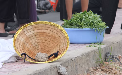 Cat rau muu sinh, cu gia bi xe lua tong tu vong-Hinh-2