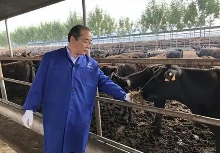 Làm giàu nhờ thứ “vàng mềm” từ bò Lam giau nho thu “vang mem” tu bo