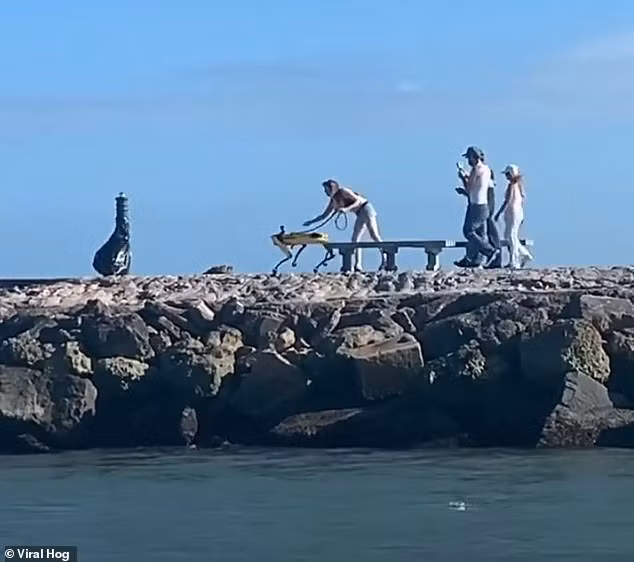 Scrappy khiến những người xung quanh kinh ngạc bởi những hành động như ngồi hoặc di chuyển theo hiệu lệnh của chủ nhân.