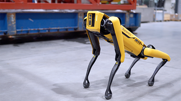 Chó robot của hãng Boston Dynamics có 4 chân được mô phỏng theo hình dáng loài chó. Nó có cơ chế hoạt động hoàn toàn độc lập, không cần sự điều khiển từ người dùng và có độ linh hoạt cao.