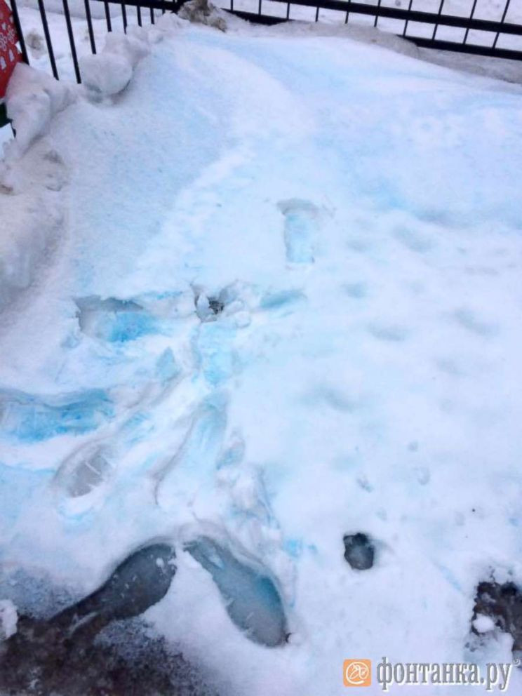 Theo các chuyên gia, tuyết xanh xuất hiện ở thành phố St Petersburg sau những trận mưa lớn.