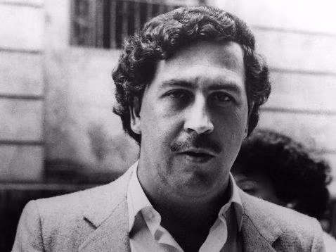 Giống ông trùm Amado, “bố già” Pablo Escobar đứng đầu băng đảng có tên Medellin Cartel. Gã cùng các thành viên trong băng đảng xây dựng nên một đế chế ma túy có doanh thu khoảng 70 triệu USD/ngày. Dưới sự chỉ huy của gã, băng đảng Medellin Cartel mua nguyên liệu từ Bolivia và Peru rồi đem điều chế thành cocaine tại Columbia.