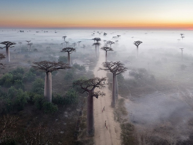 Quốc kỳ Madagascar có hình chữ nhật với 2 màu đỏ phía trên và xanh ở phía dưới.