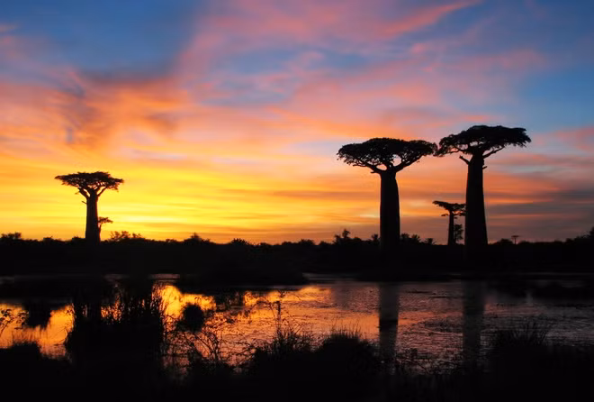 Theo World Atlas, Madagascar có tên chính thức là Cộng hòa Madagascar, đảo quốc nằm ngoài khơi bờ biển phía đông nam của châu Phi, thuộc Ấn Độ Dương. Nước này có diện tích hơn 587.000 km2, dân số hơn 28 triệu người. Do bị tách khỏi đất liền châu Phi hơn 100 triệu năm trước, Madagascar có hệ động thực vật phát triển độc lập với phần còn lại của hành tinh. Gần 80% loài ở Madagascar không tồn tại ở nơi nào khác trên Trái Đất. Đặc trưng đó khiến đảo quốc này có biệt danh "lục địa thứ tám".