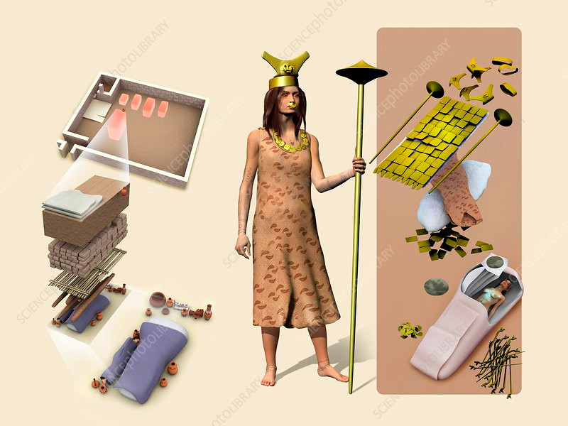 Sở dĩ các chuyên gia đưa ra suy đoán này là vì trên cơ thể của Lady of Cao có nhiều hình xăm động vật lẫn các loài thú trong thần thoại.