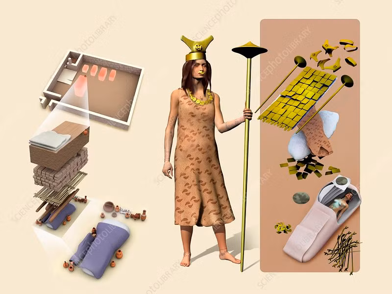 Sở dĩ các chuyên gia đưa ra suy đoán này là vì trên cơ thể của Lady of Cao có nhiều hình xăm động vật lẫn các loài thú trong thần thoại.