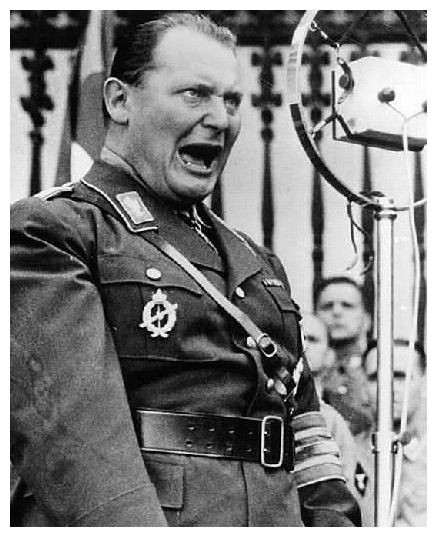 Thống chế Đế chế, Tư lệnh Không quân Đức là những chức vụ lớn nhất mà Goering từng đảm nhiệm. Theo đó, y trở thành nhân vật số 2 ở Đức sau trùm phát xít Hitler.