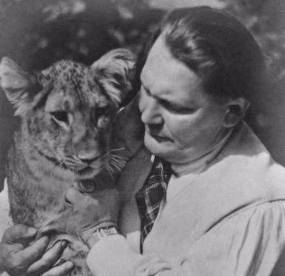 Khi Thế chiến 2 nổ ra, Goering trực tiếp ra lệnh cho lực lượng không quân rải bom oanh tạc các nước như Anh, Pháp... Y cho quân đánh bom cả những khu vực đông dân cư sinh sống.