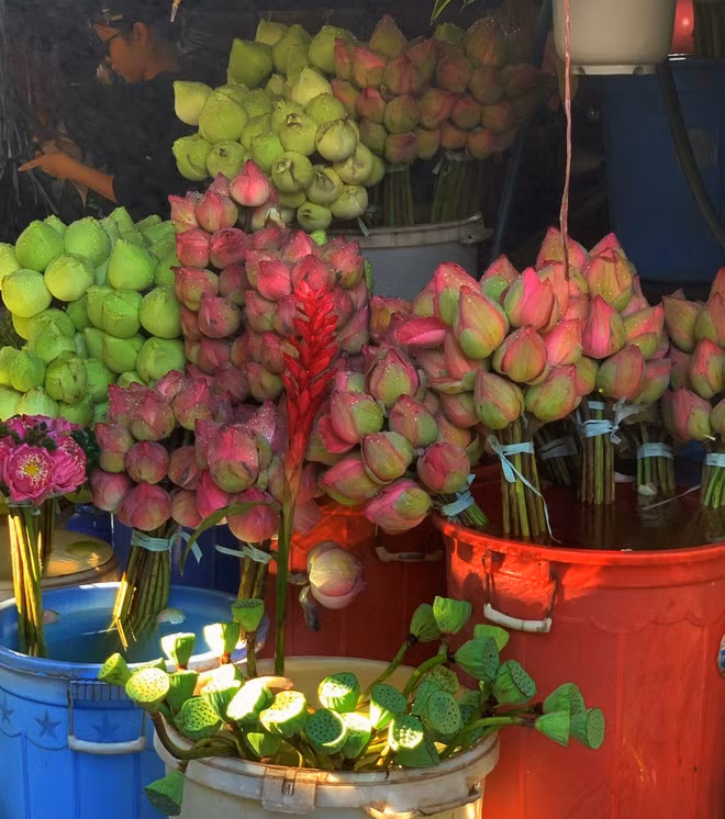 Khu chợ gần 30 năm tuổi, nằm ẩn mình trên đường Trần Thị Kỷ, quận 10, là một trong những điểm tập kết hoa lớn nhất TP.HCM. Nơi đây cũng được biết đến với tên gọi chợ hoa không ngủ vì luôn nhộn nhịp suốt cả ngày đêm, đặc biệt trong dịp Tết Âm lịch. Ảnh: Thảo Ly.