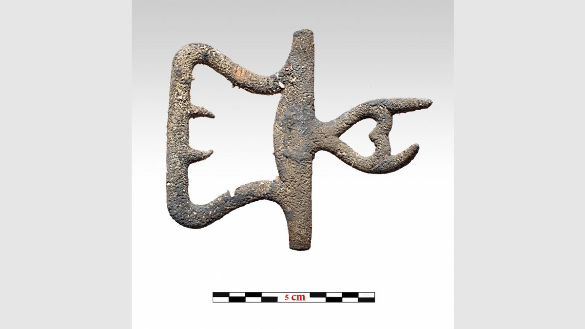 Trong chuyến thám hiểm mới đây, các thợ lặn có phát hiện đáng chú ý về xác tàu Mentor. Họ tìm thấy một số mảnh dây buộc neo, đồng xu, đế lót giày, khóa kim loại, đồng xu để chơi bài, hai quân cờ, vật dụng nấu nướng và nhiều đồ vật nhỏ khác.