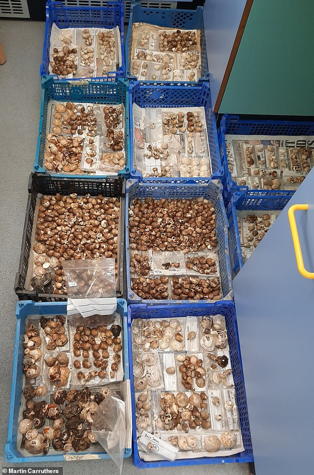 Các nhà khảo cổ ở Scotland mới có khám phá quan trọng khi tìm thấy dấu vết về một bữa tiệc thịnh soạn. Theo các chuyên gia, bữa tiệc này diễn ra vào thời Đồ Sắt.