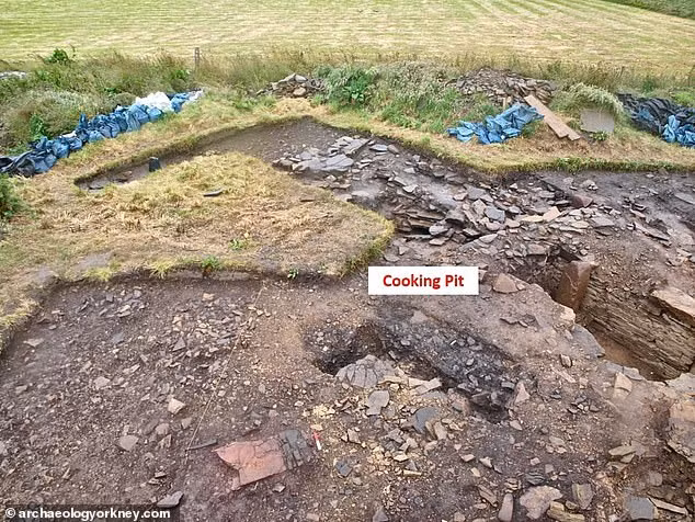 Một vài chuyên gia suy đoán đây có thể là bữa tiệc trong một đám cưới hay sự kiện tôn giáo với sự tham gia của rất nhiều người.