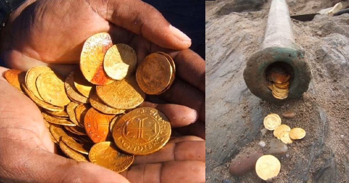 Theo các chuyên gia, tàu Bom Jesus là một tàu buôn Bồ Đào Nha. Con tàu này khởi hành từ Ấn Độ năm 1533 rồi mất tích bí ẩn từ đó. Không ai biết số phận của con tàu này cho đến thời điểm phát hiện năm 2016.