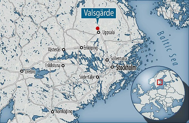 Các chuyên gia suy đoán việc chặt đầu con vật này có thể có liên quan đến nghi lễ mai táng của người dân thời Đồ sắt.