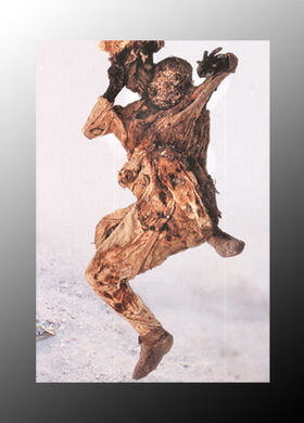 Tóc, da, thịt, xương, quần áo, thậm chí là các cơ quan nội tạng bên trong cơ thể còn khá nguyên vẹn khiến nhiều chuyên gia ban đầu cho rằng đó là thi hài của những người qua đời gần đây.