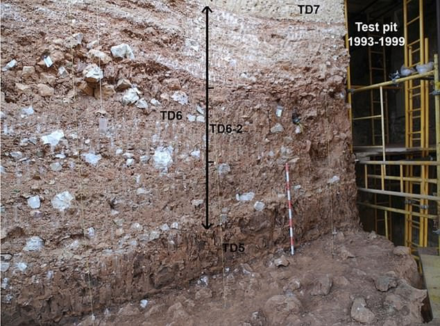 Khác với quan niệm trong suốt nhiều thập kỷ qua cho rằng, hài cốt thuộc về một bé trai, kết quả nghiên cứu mới chỉ ra đó là thi hài một bé gái.