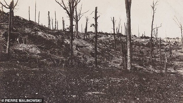 Bên trong đường hầm này, các chuyên gia tìm thấy thi thể của 270 lính Đức. Tất cả đều bị chôn sống.