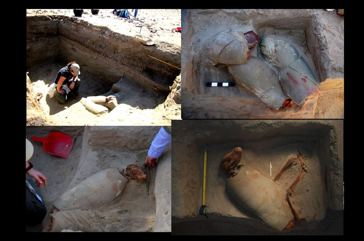 Tại nghĩa trang cổ xưa này, các chuyên gia khai quật được xương của 585 con vật. Trong số này có 536 con mèo, 32 con chó, 15 con khỉ, một con cáo và một con chim ưng.