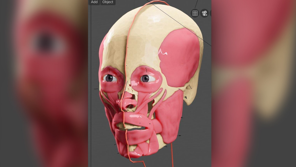 Nhóm các chuyên gia sử dụng phương pháp Manchester để tái hiện gương mặt xác ướp được ma táng trong hầm mộ KV55. Theo đó, các nhà khoa học lập hình mẫu cơ mặt và dây chằng ở mô hình hộp sọ theo quy tắc giải phẫu. Lớp da được đặt lên trên cùng và độ dày mô là giá trị trung bình xác định qua thuật toán khoa học.