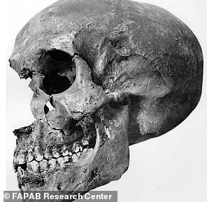 Sở dĩ các chuyên gia đưa ra quan điểm trên là vì phân tích xương và răng hé lộ xác ướp thuộc về một người đàn ông qua đời khi khoảng 19 - 22 tuổi. Trong khi đó, các tài liệu ghi chép pharaoh Akhenaten mất năm 26 tuổi sau 17 năm trị vì đất nước.