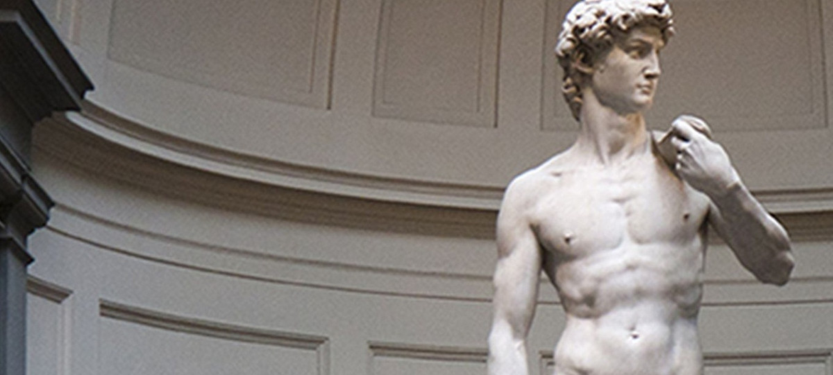 Tuy nhiên, các chuyên gia lý giải đây là điều mà Michelangelo cố tình làm. Nguyên do là bởi vào thời điểm ông tạo ra bức tượng David, ông tạc nó theo phong cách Hy Lạp cổ điển. Đối với phong cách này, cơ bắp quan trọng hơn bộ phận nhạy cảm kia.