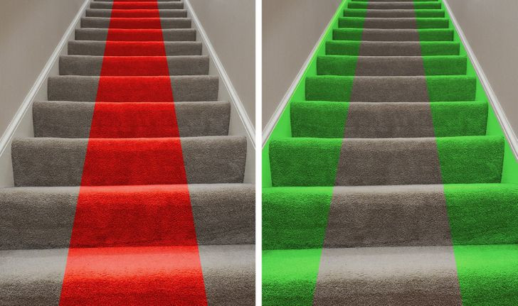 Một quy tắc khác mà các nhân viên làm việc cho Hoàng gia Anh phải tuân thủ là không được đi ở giữa tấm thảm. Theo đó, đội ngũ nhân viên chỉ được phép đi 2 bên phía ngoài tấm thảm trải sàn.