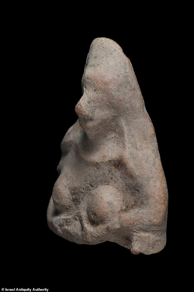 Sau khi thực hiện một số kiểm tra, phân tích, các chuyên gia của IAA xác định đây là bức tượng thứ hai thuộc loài này được tìm thấy ở Israel. Mẫu vật trước đó cũng được phát hiện tại sa mạc Negev.