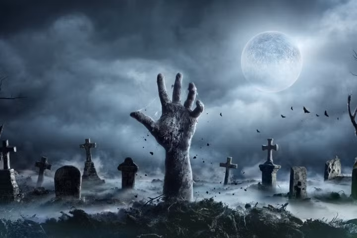 Trong những năm qua, một số nhà khoa học thực hiện dự án nghiên cứu về ngày tận thế. Họ đưa ra một số kịch bản về những điều mà nhân loại sẽ trải qua trong giai đoạn tồi tệ này.