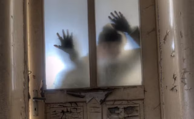 Dư luận đặc biệt quan tâm đến kịch bản về đại dịch xác sống bùng phát khi thế giới xảy ra tận thế.