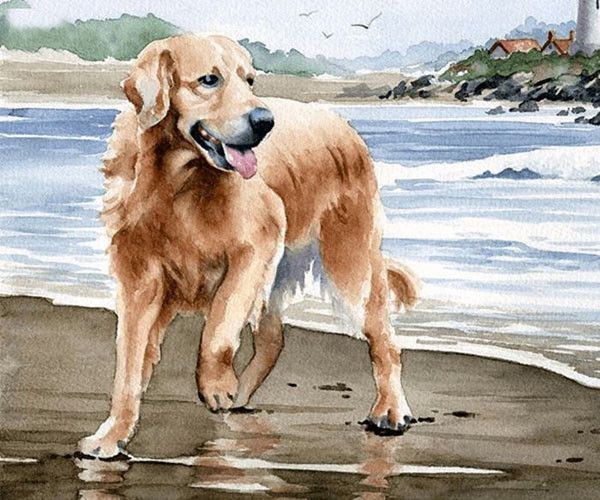 Từ sự nghiệp, tài vận đến chuyện tình duyên đều có chuyển biến tích cực.