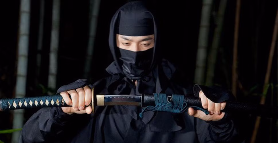 Nếu Ninja phản bội chủ nhân phải "trả giá đắt" cho hành động phản nghịch này, thường là bị truy sát, giết chết.