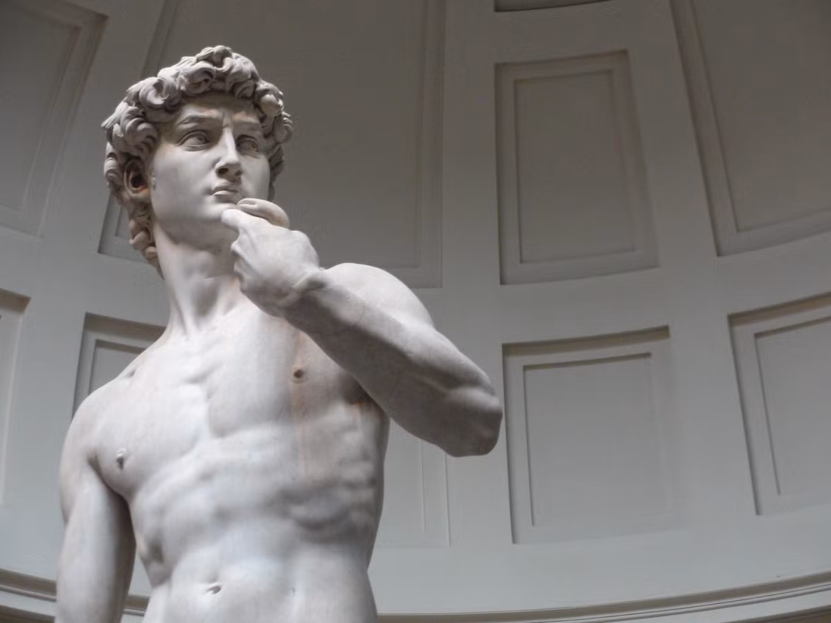 Tượng David được đánh giá là một kiệt tác để đời của Michelangelo. Hiện bức tượng được trưng bày trong bảo tàng nghệ thuật Galleria dell'Accademia.