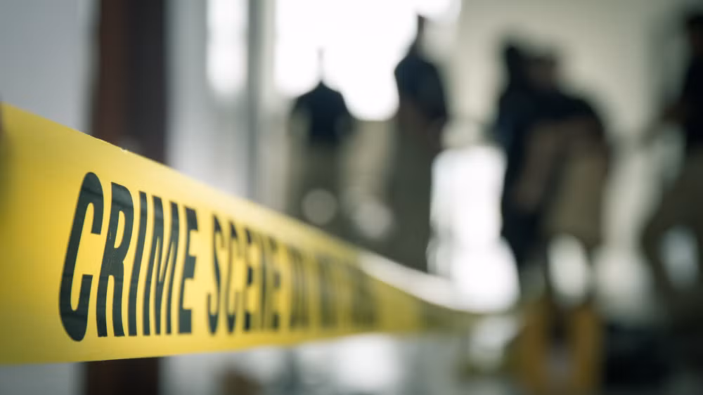 Dù cảnh sát tiến hành điều tra những đến nay vẫn chưa thể giải mã cái chết bí ẩn của Elisa Lam diễn ra như thế nào. Liệu kẻ nào là thủ phạm gây ra cái chết của cô?...