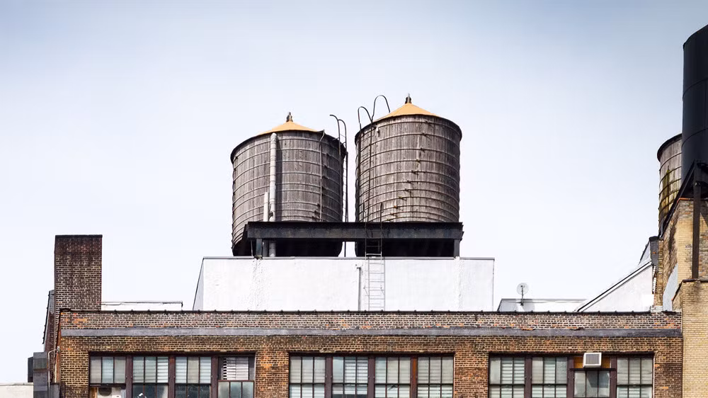 Cảnh sát tìm kiếm Elisa Lam ở khách sạn và một số nơi trong thành phố suốt 3 tuần nhưng không có kết quả. Mãi đến khi khách thuê phòng tại khách sạn phàn nàn nước có mùi kỳ lạ. Khi đó, các nhân viên đi kiểm tra bể nước thì phát hiện thi thể của Elisa Lam.