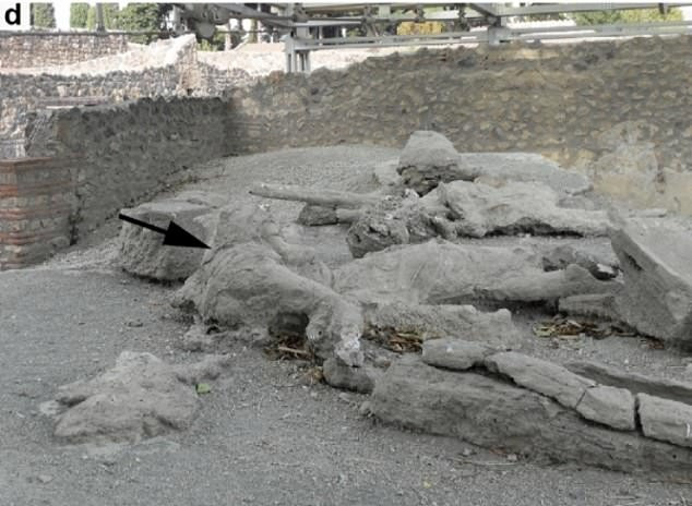 Vì vậy, toàn bộ thành phố Pompeii bị hủy diệt và chôn vùi trong tro bụi núi lửa. Phải đến gần 1.700 năm sau, các chuyên gia mới tìm thấy tàn tích thành phố cổ xưa này và từng bước giải mã bí ẩn về thảm kịch diệt vong của hơn 2.000 người trong thời gian rất ngắn.