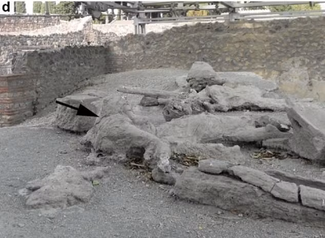 Vì vậy, toàn bộ thành phố Pompeii bị hủy diệt và chôn vùi trong tro bụi núi lửa. Phải đến gần 1.700 năm sau, các chuyên gia mới tìm thấy tàn tích thành phố cổ xưa này và từng bước giải mã bí ẩn về thảm kịch diệt vong của hơn 2.000 người trong thời gian rất ngắn.