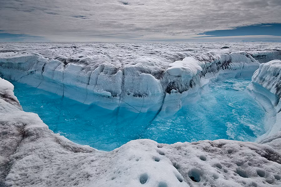 Để giải mã bí ẩn này, một số chuyên gia cố thực hiện một số dự án nghiên cứu tại Greenland trong những năm qua. Theo một nghiên cứu năm 2019, các nhà khoa học phát hiện một số mảnh vỡ của thực vật hóa thạch có niên đại khoảng 1 triệu năm tuổi ở Greenland.