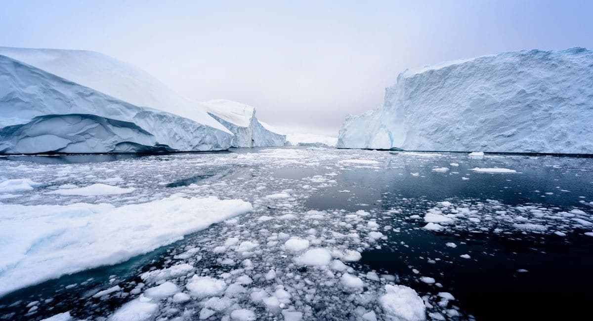 Với phát hiện này, các chuyên gia càng tin rằng, bên dưới lớp băng ở Greenland có những hóa thạch cổ xưa chưa từng được tìm thấy. Song song với đó, họ suy đoán các nhà khoa học có thể có những phát hiện quan trọng khác trong thời kỳ Chiến tranh Lạnh nhưng không rõ vì lý do gì mà chưa công bố với công chúng.