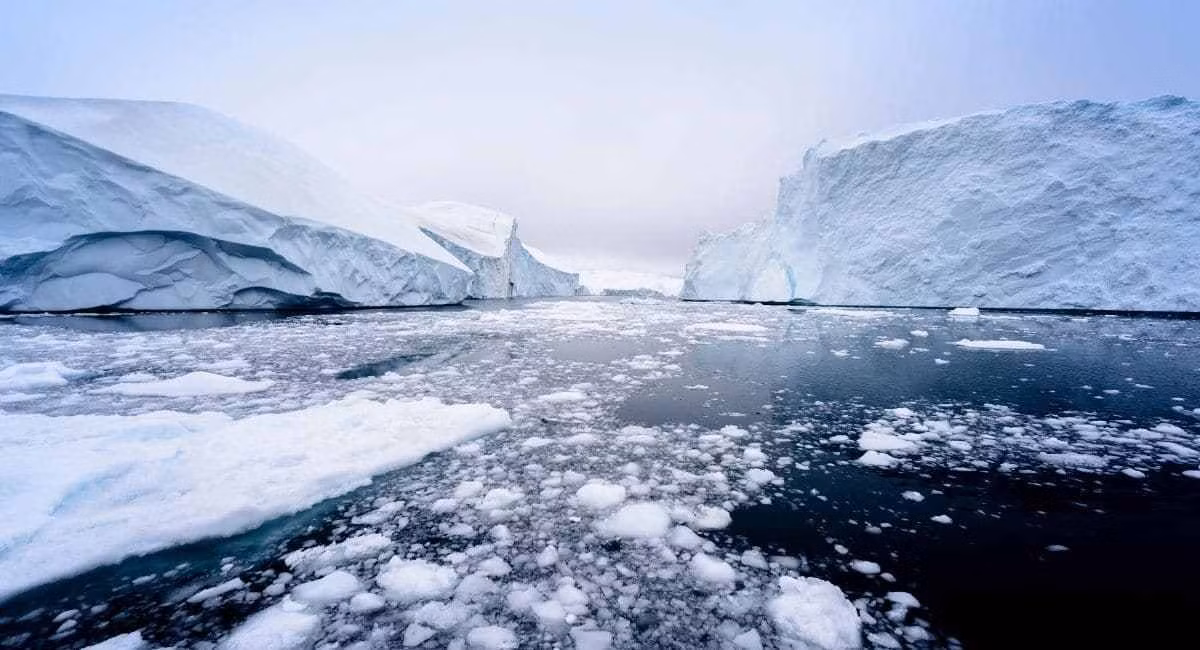 Với phát hiện này, các chuyên gia càng tin rằng, bên dưới lớp băng ở Greenland có những hóa thạch cổ xưa chưa từng được tìm thấy. Song song với đó, họ suy đoán các nhà khoa học có thể có những phát hiện quan trọng khác trong thời kỳ Chiến tranh Lạnh nhưng không rõ vì lý do gì mà chưa công bố với công chúng.