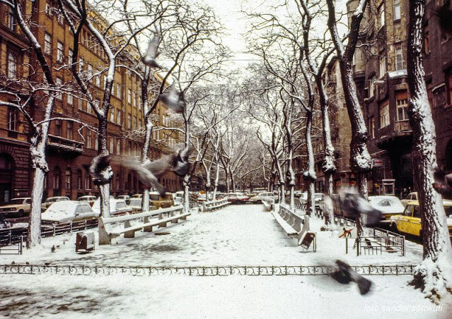 Vẻ đẹp bình yên và nên thơ ở một góc phố tại Budapest.