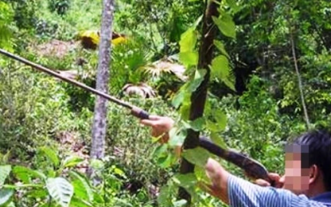 Người bản trên, kẻ bản dưới nên hai gia đình thường xuyên qua lại với nhau. Cũng chính vì điều đó Triệu Vần Tòng đã nảy sinh tình cảm với vợ của Quyên. Sau một thời gian dài thầm yêu, trộm nhớ, Tòng đã nảy sinh ý định giết Quyên để chiếm vợ bạn. Buổi đi săn đã được Tòng tính toán rất kỹ lưỡng nhằm thực hiện ý đồ bấy lâu.