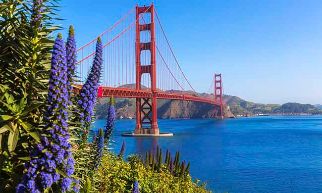 Ha Long dan dau top nhung vung vinh dep nhat the gioi-Hinh-8