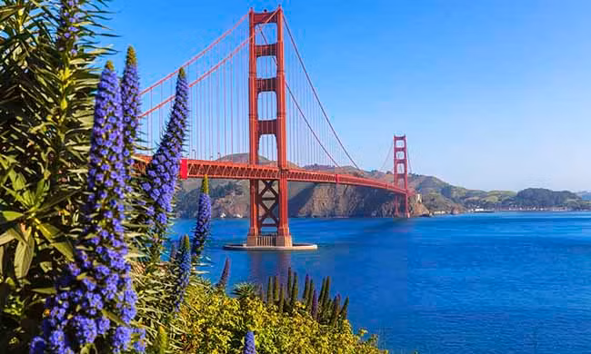 Ha Long dan dau top nhung vung vinh dep nhat the gioi-Hinh-8