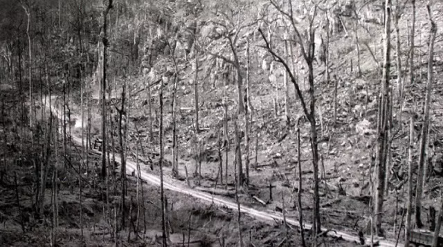 Đây là một trong những thứ chất độc hóa học kinh hoàng nhất Mỹ từng sử dụng ở Việt Nam, dù hàng chục năm trôi qua các khu vực chịu tác động của chất độc da cam ở nước ta vẫn có thể gây nguy hiểm cho con người và ảnh hưởng của nó có thể kéo dài tới hàng trăm năm. Nguồn ảnh: Vietnamwar.