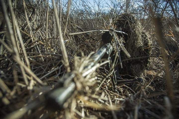 Trong trường hợp phải hành sự vào ban ngày, họ sẽ tìm cách ẩn náu trong những bụi cây...