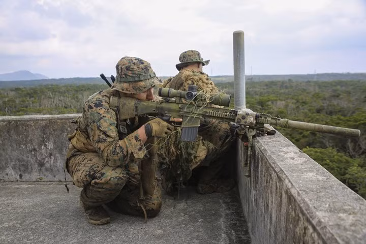 Trong tác chiến đô thị, lính bắn tỉa sẽ tranh thủ chiếm lấy những cao điểm mà họ có thể quan sát được mọi hướng khác nhau.